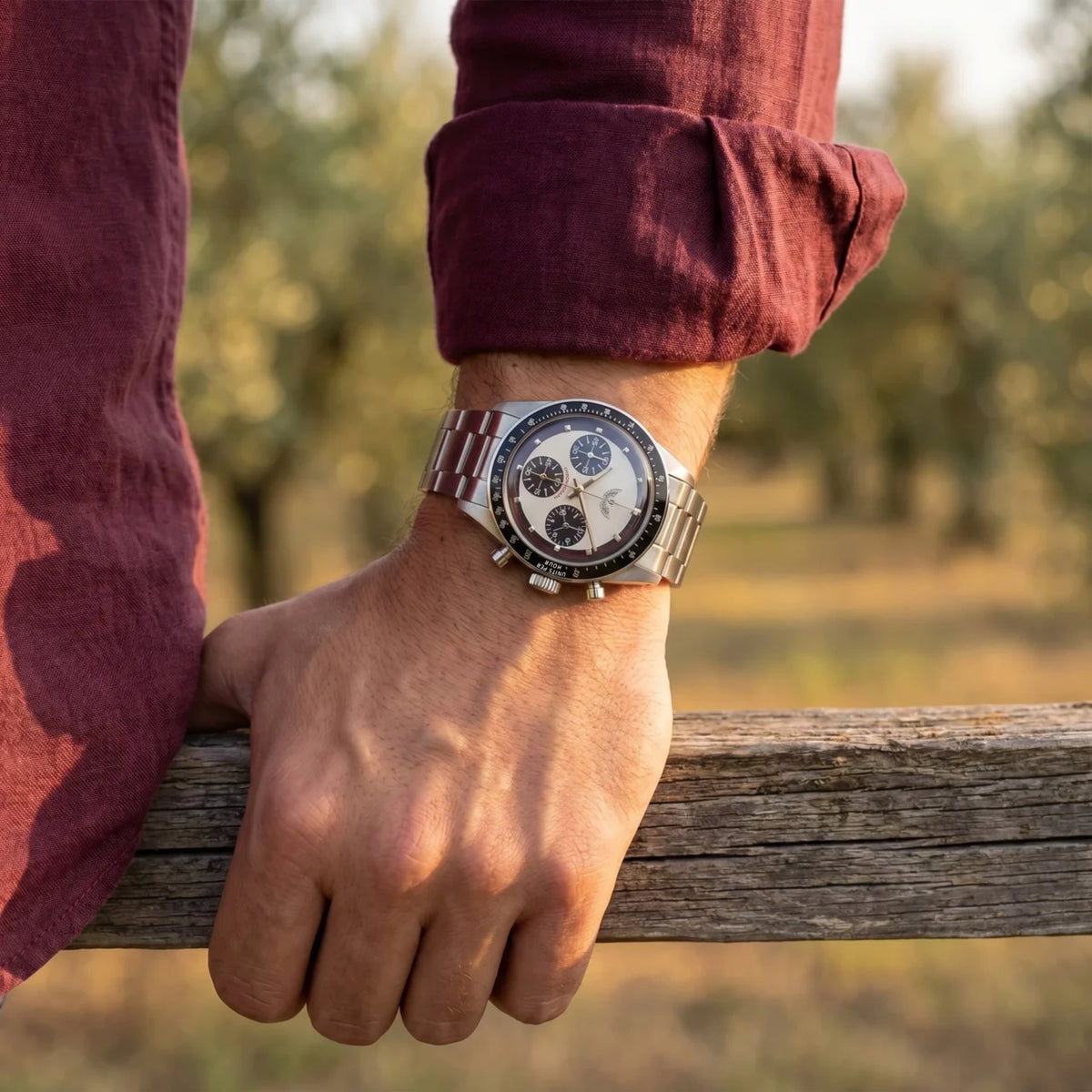 Zebra Chronograph 37mm - Racing